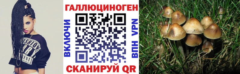Псилоцибиновые грибы прущие грибы  Дно 